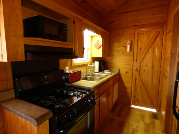 big-bear-cottage-image04