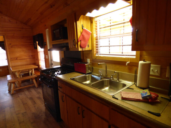 big-bear-cottage-image10