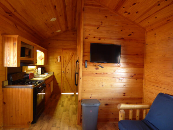 big-bear-cottage-image13