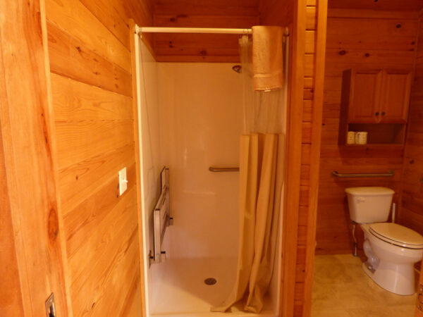 big-bear-cottage-img08