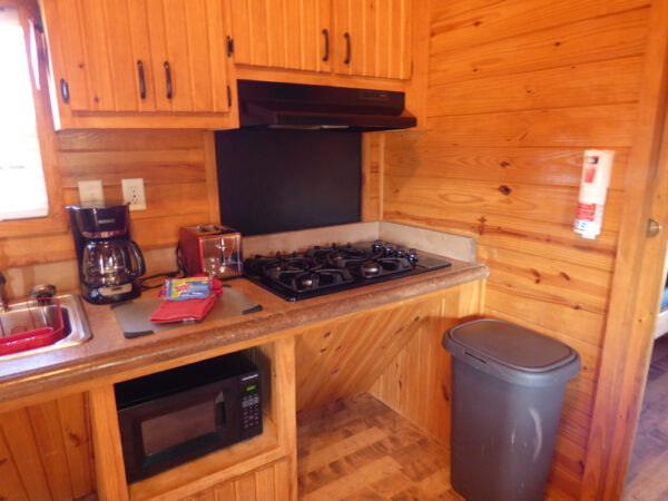 big-bear-cottage-img12