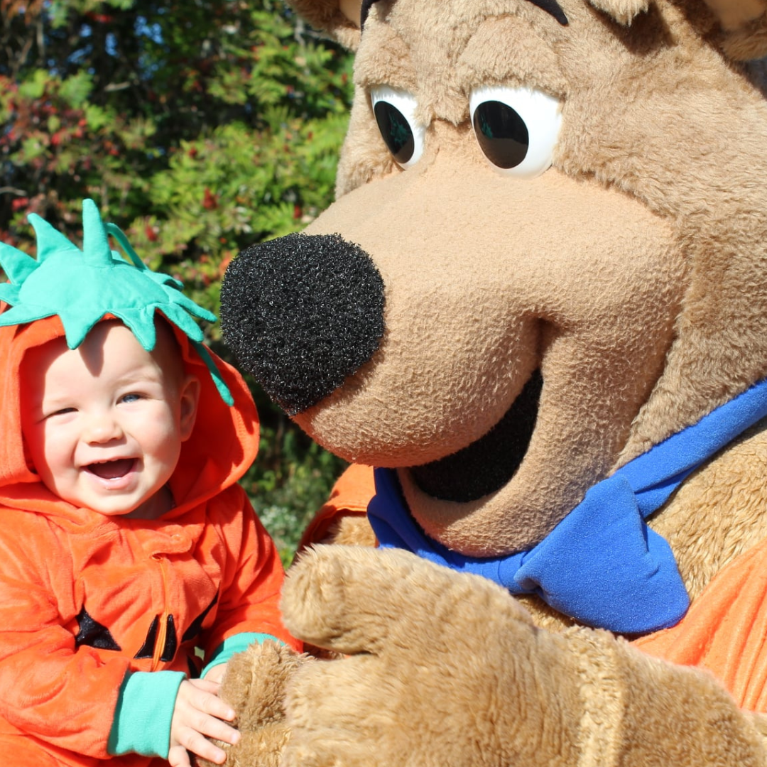 Child in pumpkin costume with Boo Boo at Jellystone Park fall corn maze event
