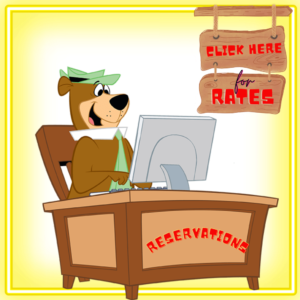 Yogi Bear at a computer encouraging guests to check rates and make reservations at Jellystone Park South Haven
